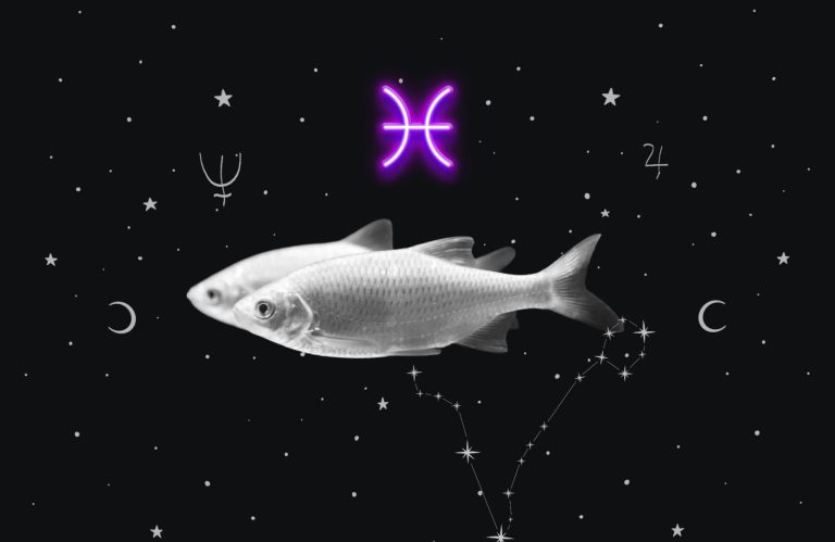 Explorer le Symbolisme et la Signification des Rêves Relatifs aux Poissons