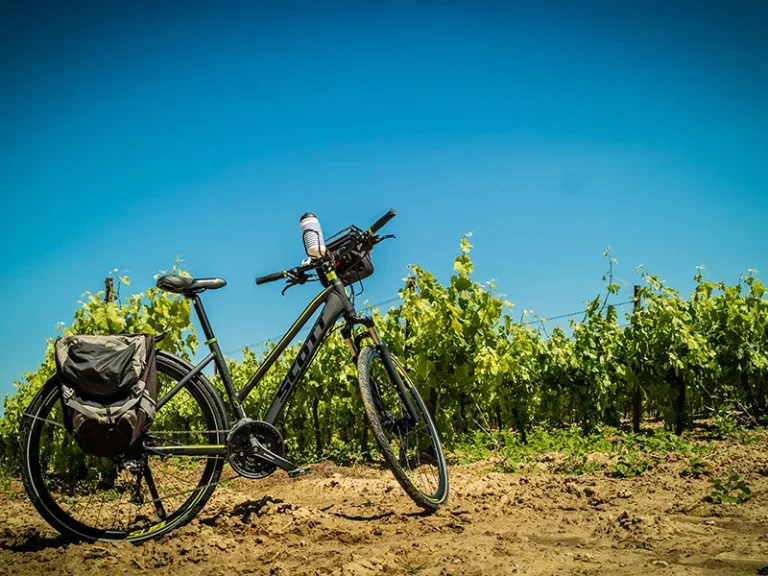 Analyses et significations des rêves liés au vélo