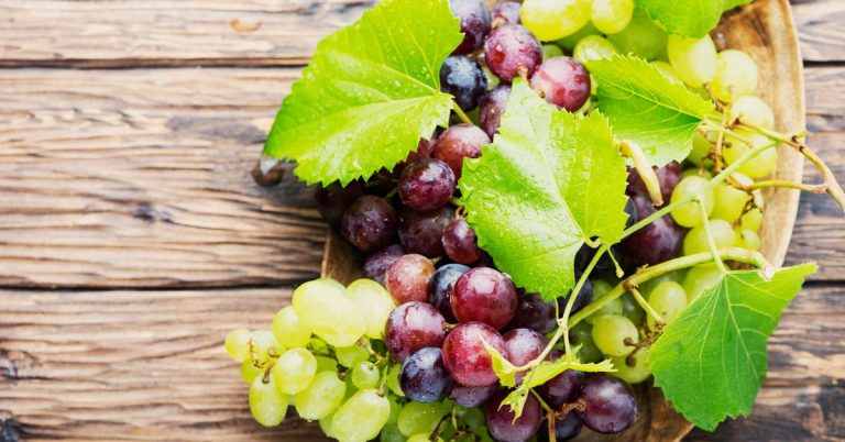 Explorer la Signification et l&rsquo;Interprétation des Rêves de Raisins