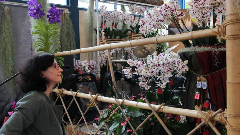 Analyse des rêves : Que symbolise une orchidée?