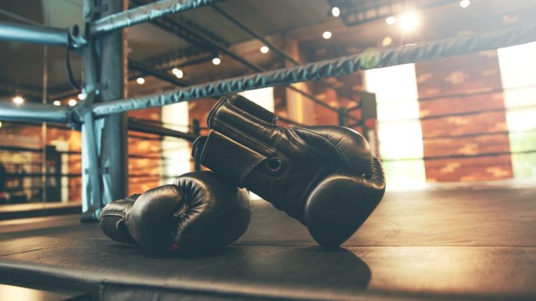 Exploration de l&rsquo;Astrologie et de la Voyance : Les Héros de la Boxe et des Arts Martiaux