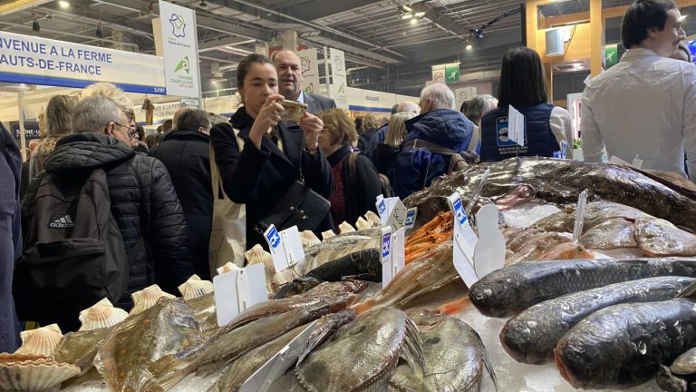 Les carrières idéales pour les natifs du Poissons : découvrez les métiers qui leur correspondent