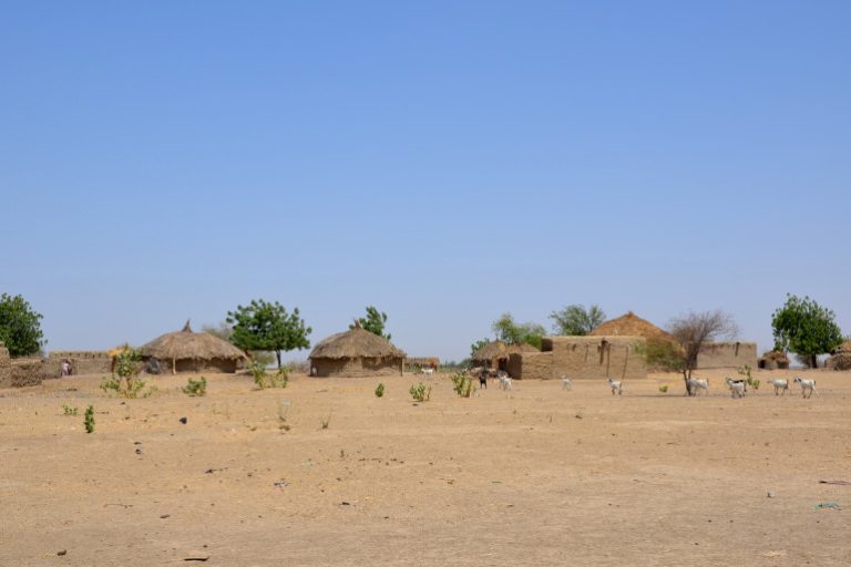 Cameroun : les préjugés entourant la voyance